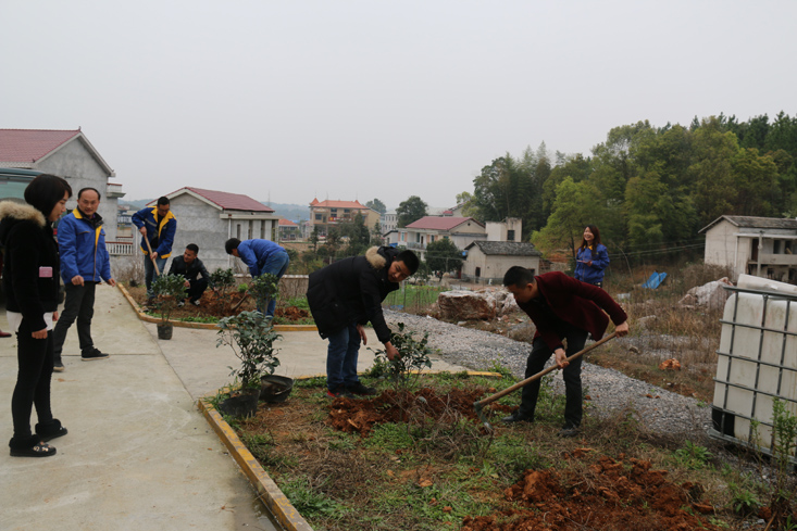益婁14標(biāo)學(xué)雷鋒義務(wù)植樹(shù)活動(dòng)